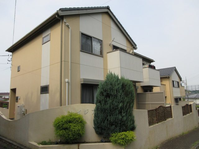ハイジア