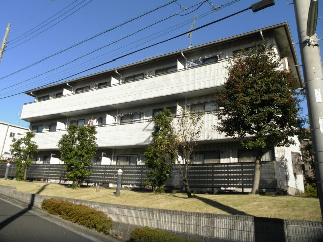 ガーデンルピナス